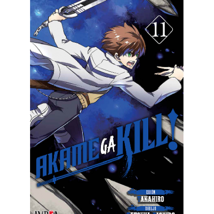 Akame Ga Kill 11